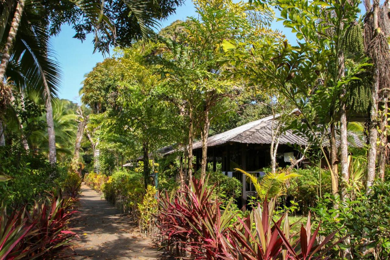 Mapara Crab Lodge Bahia Solano Dış mekan fotoğraf