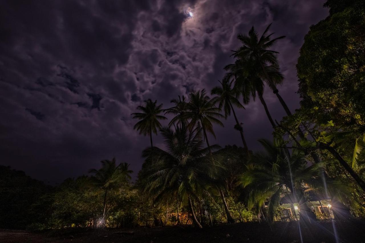 Mapara Crab Lodge Bahia Solano Dış mekan fotoğraf