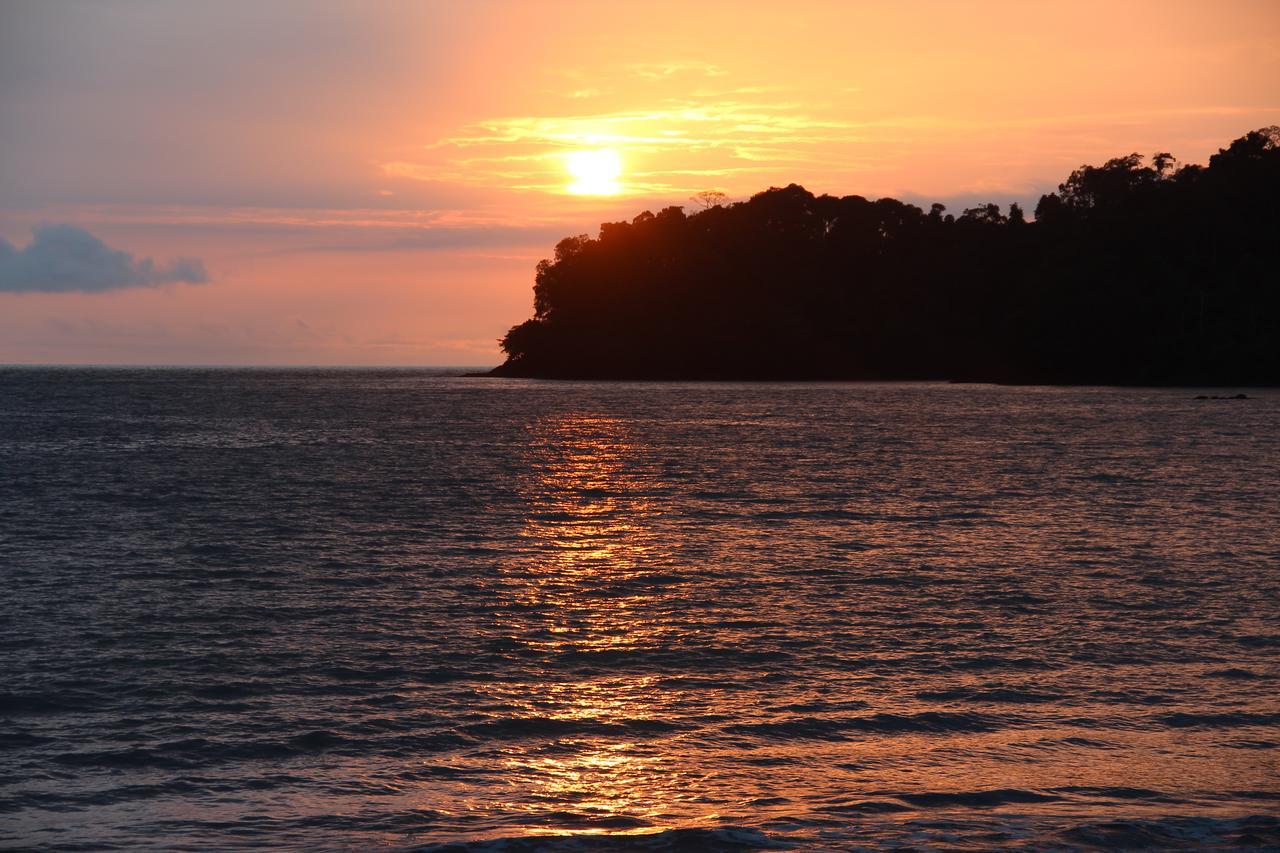 Mapara Crab Lodge Bahia Solano Dış mekan fotoğraf