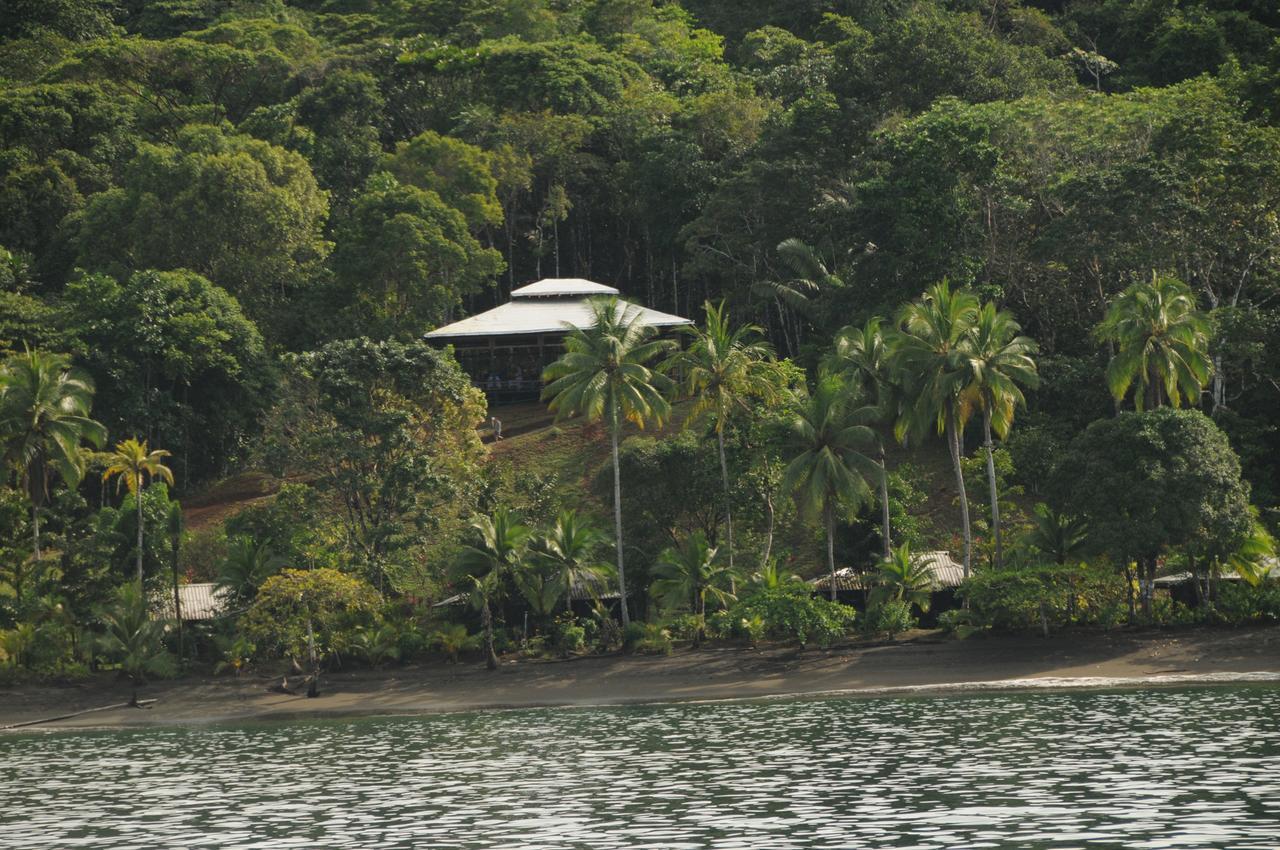 Mapara Crab Lodge Bahia Solano Dış mekan fotoğraf
