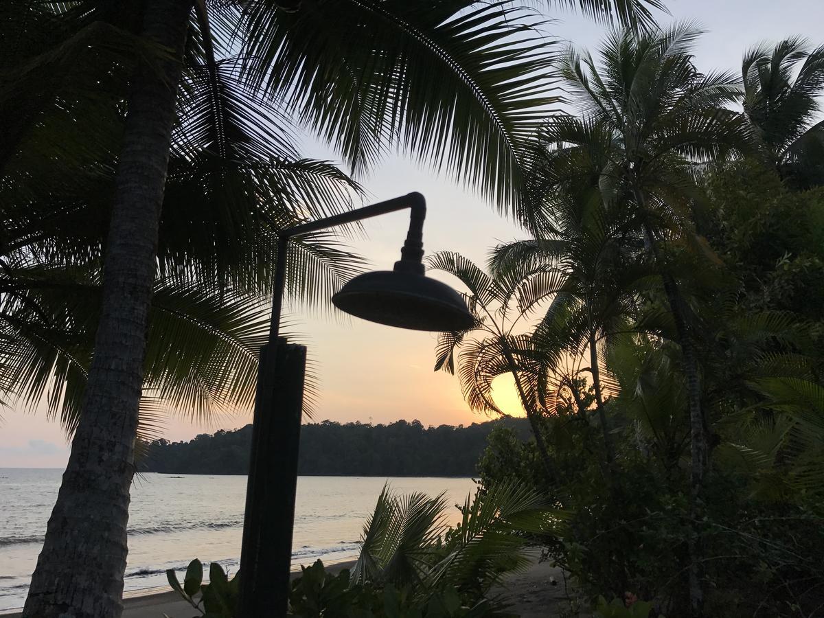 Mapara Crab Lodge Bahia Solano Dış mekan fotoğraf
