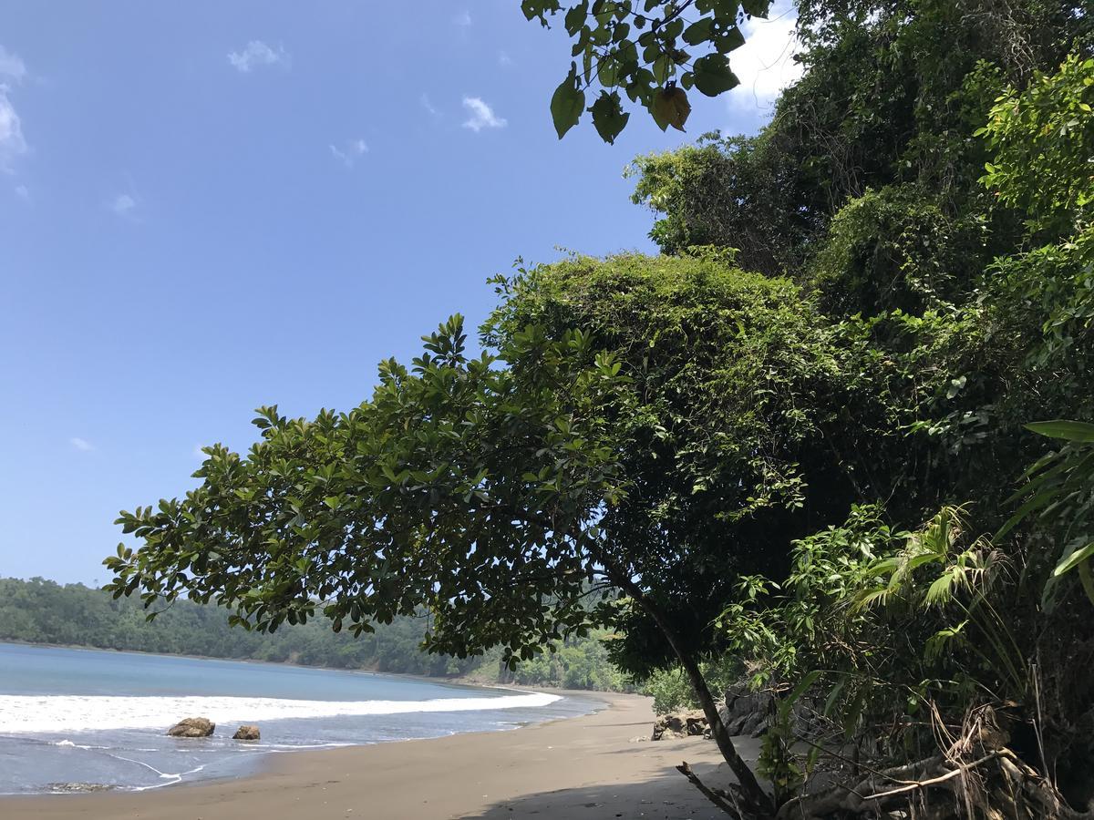 Mapara Crab Lodge Bahia Solano Dış mekan fotoğraf