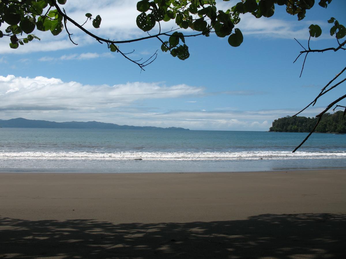 Mapara Crab Lodge Bahia Solano Dış mekan fotoğraf